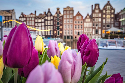 Amsterdam ist ein perfektes Reiseziel, denn es gibt viele tolle Aktivitäten für die ganze Familie