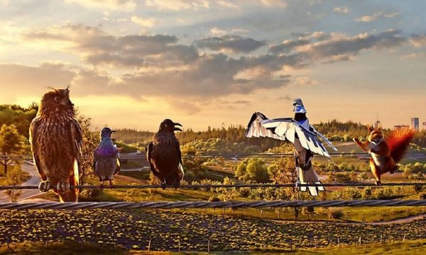 Anzeige Voll auf E - mit grünem Strom von der EnBW Anzeige: Voll auf E - mit grünem Strom von der EnBW