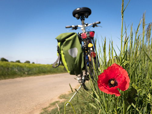 Bikepacking durch Deutschland: Wege, um eine unvergessliche Reise zu haben und sie auf Social Media mit Ihren Lieben zu teilen