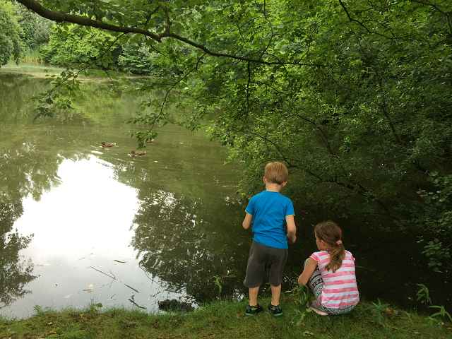 Ferienhäuser mitten in der Natur – Naturhäuschen Center Parcs de Huttenheugte