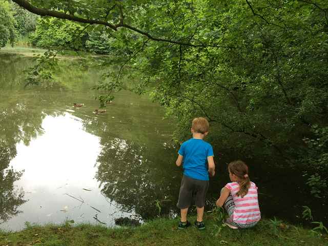 Ferienhäuser mitten in der Natur – Naturhäuschen