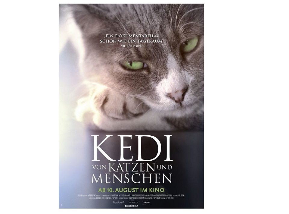Gewinnspiel: Kinofilm KEDI – Von Katzen und Menschen