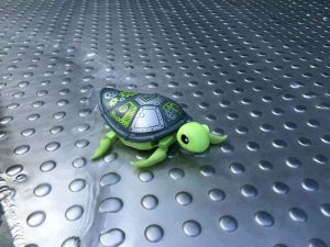 Little Live Pets Schildkröte (4)