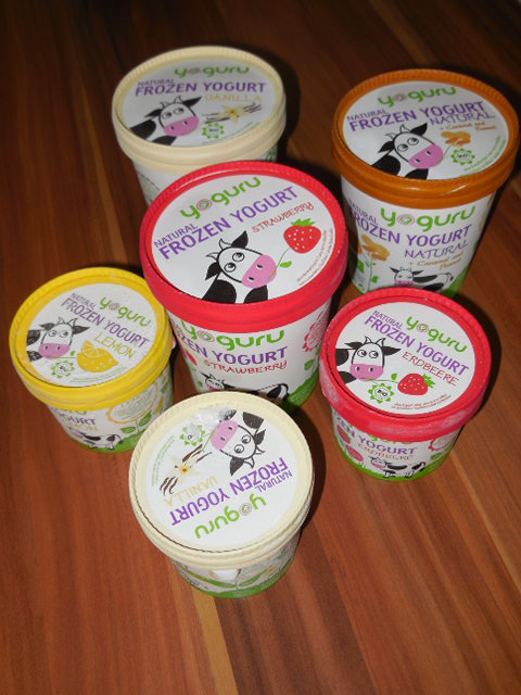 Yoguru Natural Frozen Yogurt im Test (1)