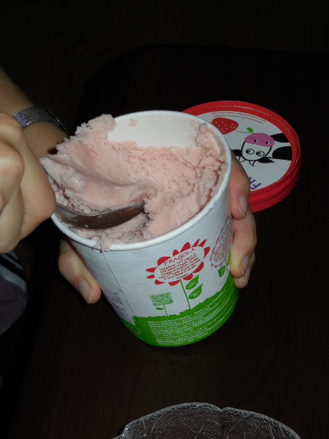 Yoguru Natural Frozen Yogurt im Test