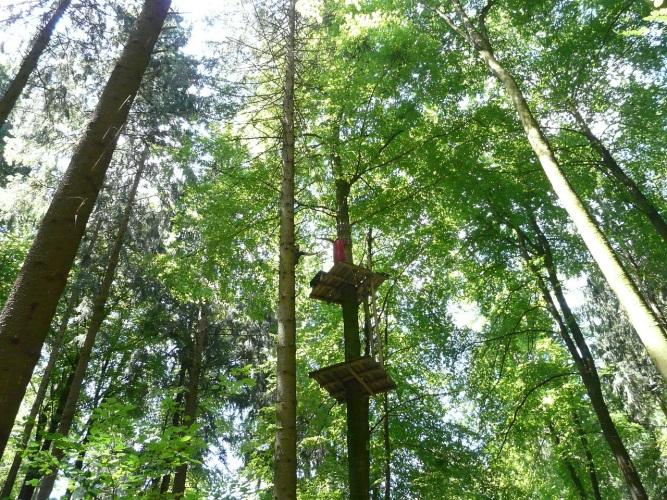 Tipps für den Ausflug in den Bayerischen Wald