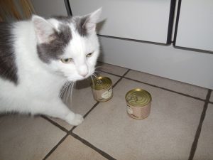 pets premium (5) pets premium (5)
